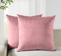 Velvet Cushion Covers - Twin-Pack - Blush