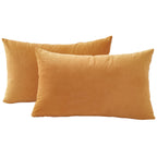 Velvet Cushion Covers - Twin-Pack - Ginger